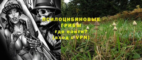 мяу мяу кристалл Алексин
