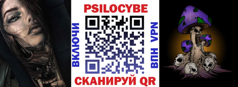 где найти   Юрьевец  Псилоцибиновые грибы Psilocybine cubensis 